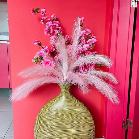 O Apartamento Rosa Жуан-Пессоа Екстер'єр фото
